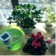 Hot sale garden irrigation controller solenoid valve timer garden business trip intelligent automatic watering waterer