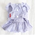 Petstyle spring and summer new vertical striped ruffle skirt dress dog clothes cat skirt