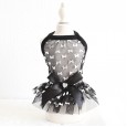 Petstyle spring and summer new perspective mesh gauze skirt sexy dress dog clothes cat skirt