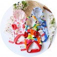 Petstyle autumn and winter new three-color cartoon hoodie warm sweater cat clothes dog clothes