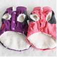 Petstyle autumn and winter new velvet patchwork star vest pet clothes dog clothing