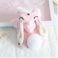 petstyle winter sweet sleeping rabbit fur ball fleece pet clothes dog warm two-layer clothes funny transformation