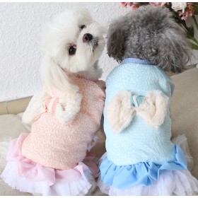 Autumn and winter clothing five-color bow cotton skirt thick warm pet clothes dog clothing