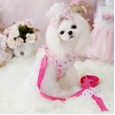 Lollypop Lollipop Fluorescent Chest Strap Dog Protective Leash Cord Vest