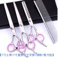 6 inch 7 inch stainless steel pet scissors pet trimming scissors custom processing can be attached to signs