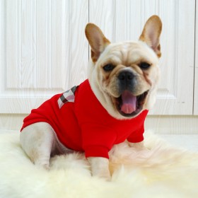 Pet clothes law fighting law bully bully clothes Coquibago pet dog dress red check big name style