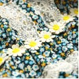 Pet spring skirt west highland bomei bixiong summer pastoral style lace dress puppies dog clothes