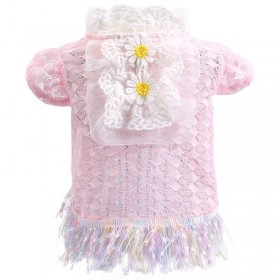 Teddy chihuahua puppies pet dog dog cat clothes early summer pink lace temperament princess skirt