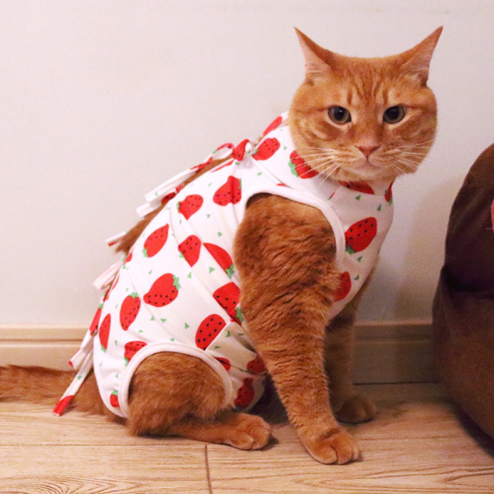 Cat sterilization clothes cat female cat surgical clothes weaning thin section anti-hair loss post-operation anti-bite anti-physiological clothing