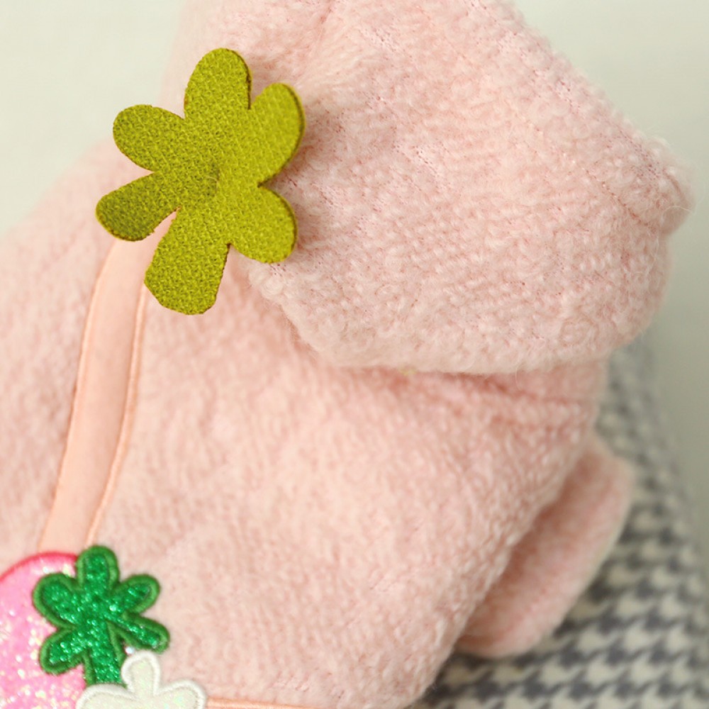 Pet dog clothes candy strawberry cashmere skirt thick teddy bear autumn and winter new warm cute dog clothes