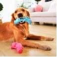 Dog molar toy bone chew gum molar stick large dog bite-resistant rubber labrador golden retriever dog bite toy