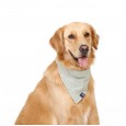 Japanese fresh pet dog dog triangle scarf saliva towel scarf large dog golden retriever big dog models dog jewelry