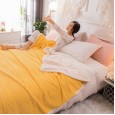 Double-layer blanket quilt thickening winter warm blanket coral velvet plush sheets flannel female sofa nap blanket