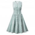 vintage dress explosive single-breasted women's retro dress