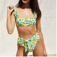 New bikini swimsuit fruit print swimsuit