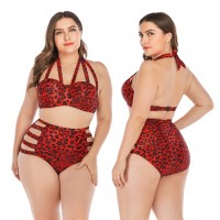 Large size bikini underwire large cup ladies swimsuit swimsuit 6655