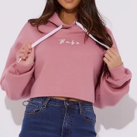 Autumn and winter new tops simple short paragraph hooded hooded sweater female embroidery bottoming clothes sportswear tide