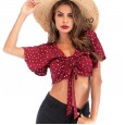 Casual short velvet pleated polka dot summer chiffon shirt
